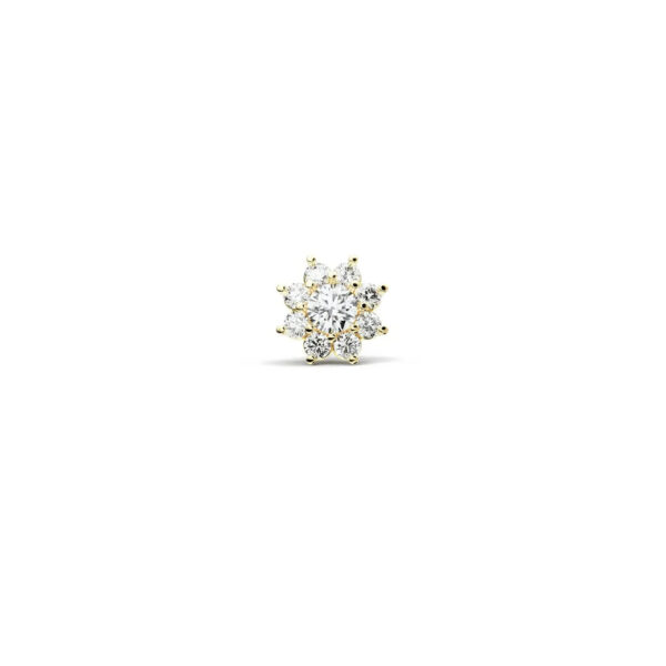 Boucle d'Oreille Entourage Diamants
